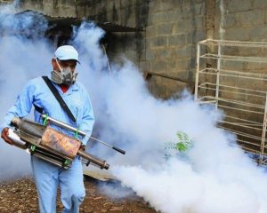Fumigación por Desinsectación