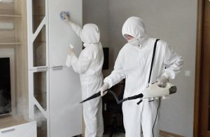 limpieza profesional del hogar mejora la salud