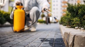 Limpieza de casas en Lima