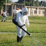 Fumigación Insectos de Verano