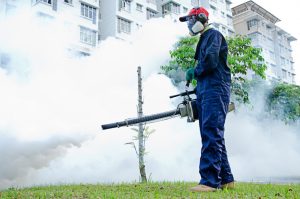 Fumigación en San Isidro