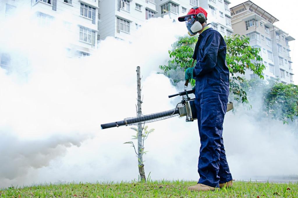 Fumigación en San Isidro