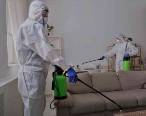 Fumigación de Casas en Surco