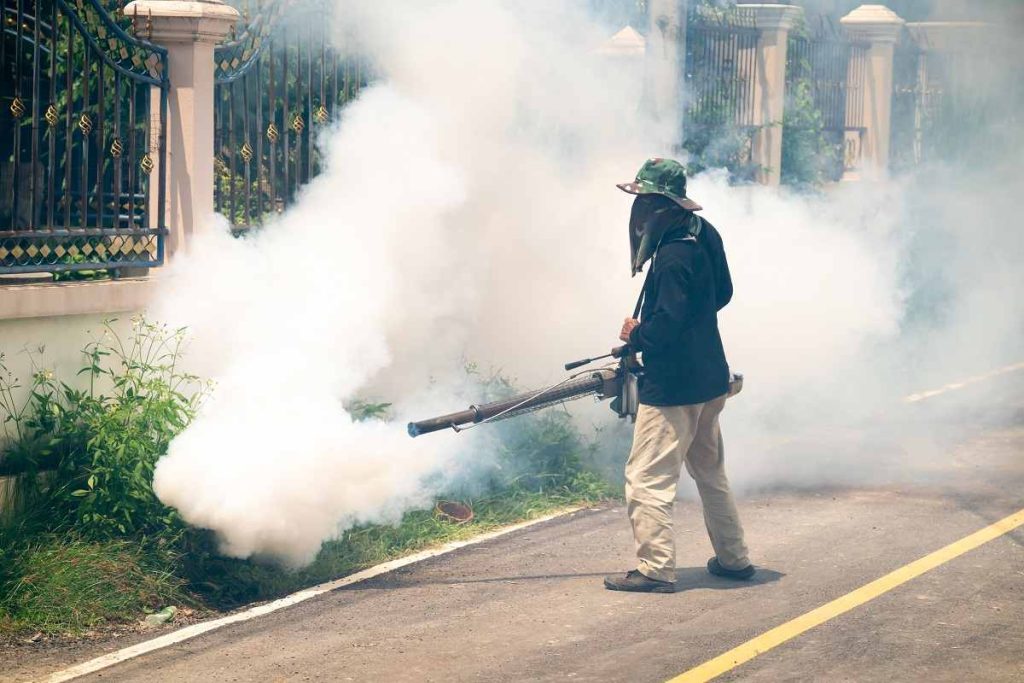 Fumigación en Breña