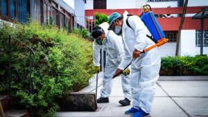 Desinsectación en San Luis