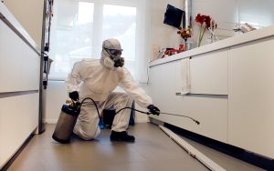 Control de cucarachas para restaurante