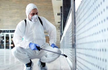 Desinsectación en Monterrico