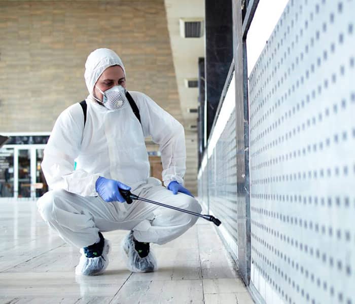 Desinsectación en Monterrico