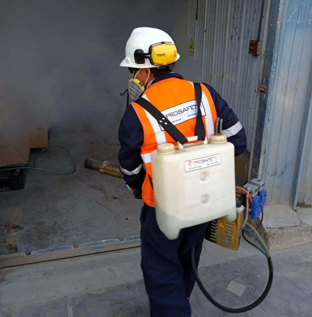 Desinsectación en San Miguel