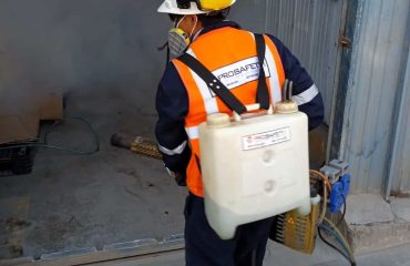 Desinsectación en San Miguel