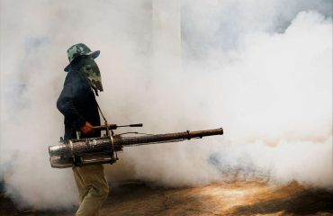 Fumigación en San Borja