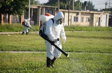 Control de Plagas y Fumigación