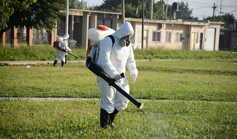 Control de Plagas y Fumigación