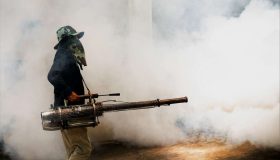 Control de Plagas en Chosica