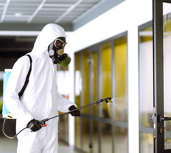 Desinfección de Almacenes de Perecibles