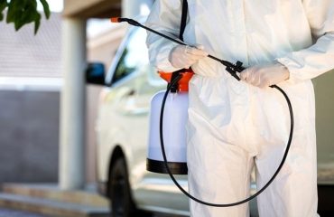 Fumigación de chifas